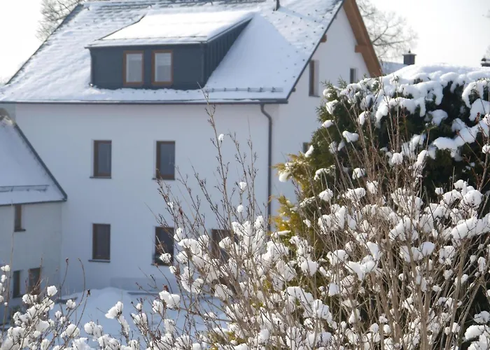 Appartement Siebert By Interhome Bad Brambach
