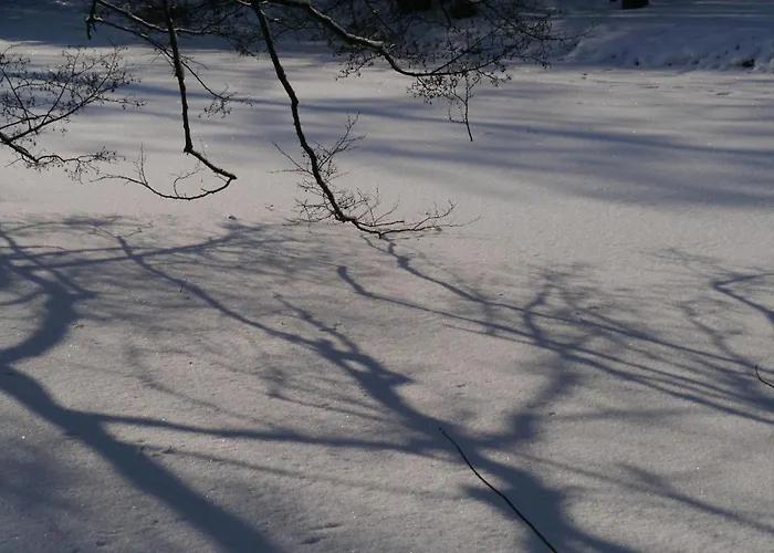 Siebert By Interhome شقة